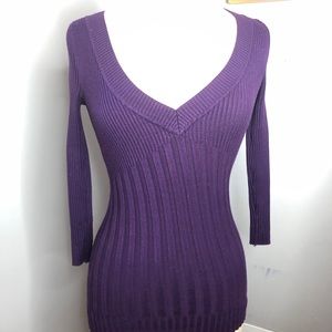 Purple V Neck Sweater by Pink Rose Size Medium